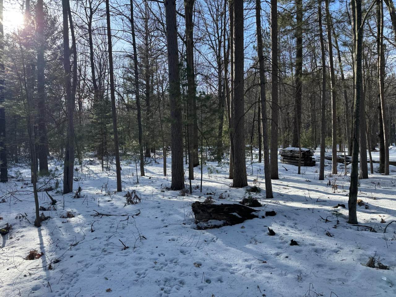 https://bt-photos.global.ssl.fastly.net/northwoods/1280_boomver_1_215970-2.jpg