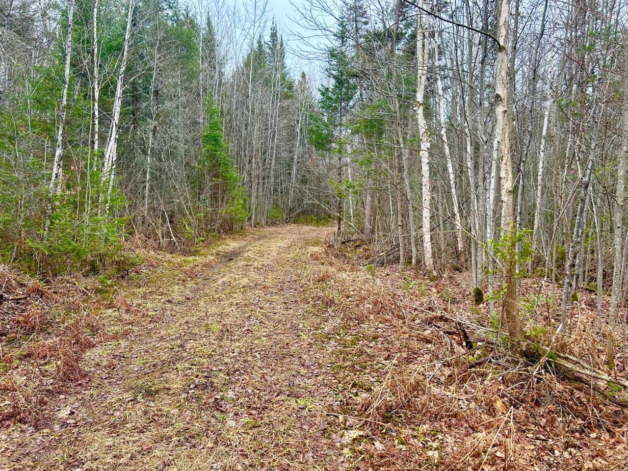 https://bt-photos.global.ssl.fastly.net/northwoods/1280_boomver_1_216023-2.jpg
