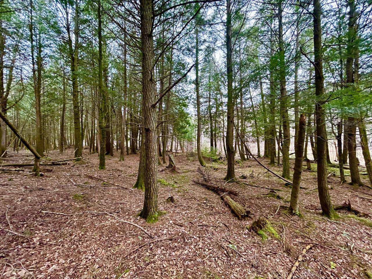 https://bt-photos.global.ssl.fastly.net/northwoods/1280_boomver_1_216023-2.jpg
