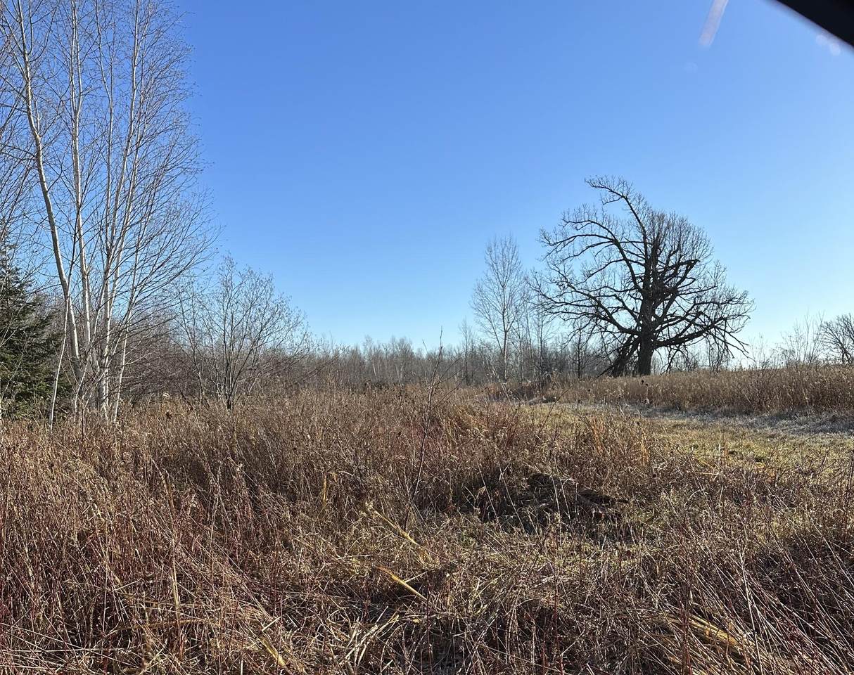 20 acres Cloverland Rd - Photo 1