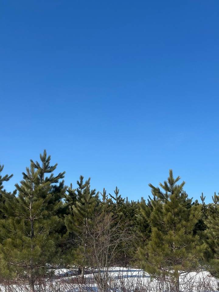 ON Burrows Lake Rd - Photo 1