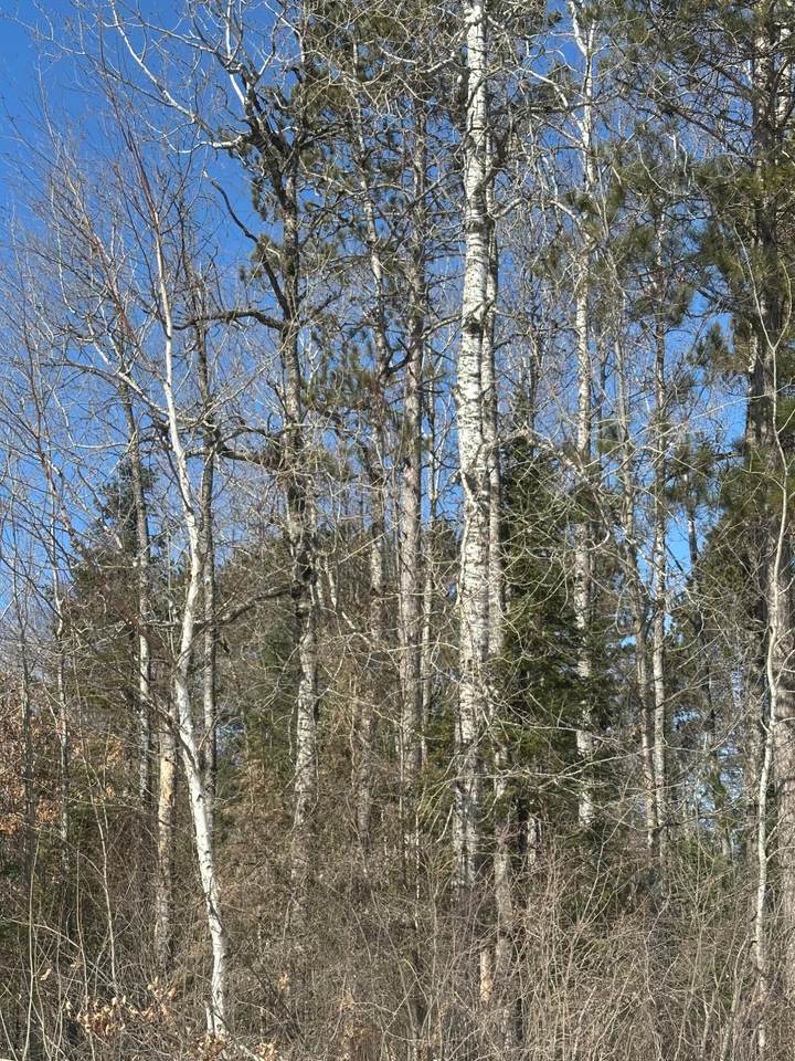 ON Burrows Lake Rd - Photo 1
