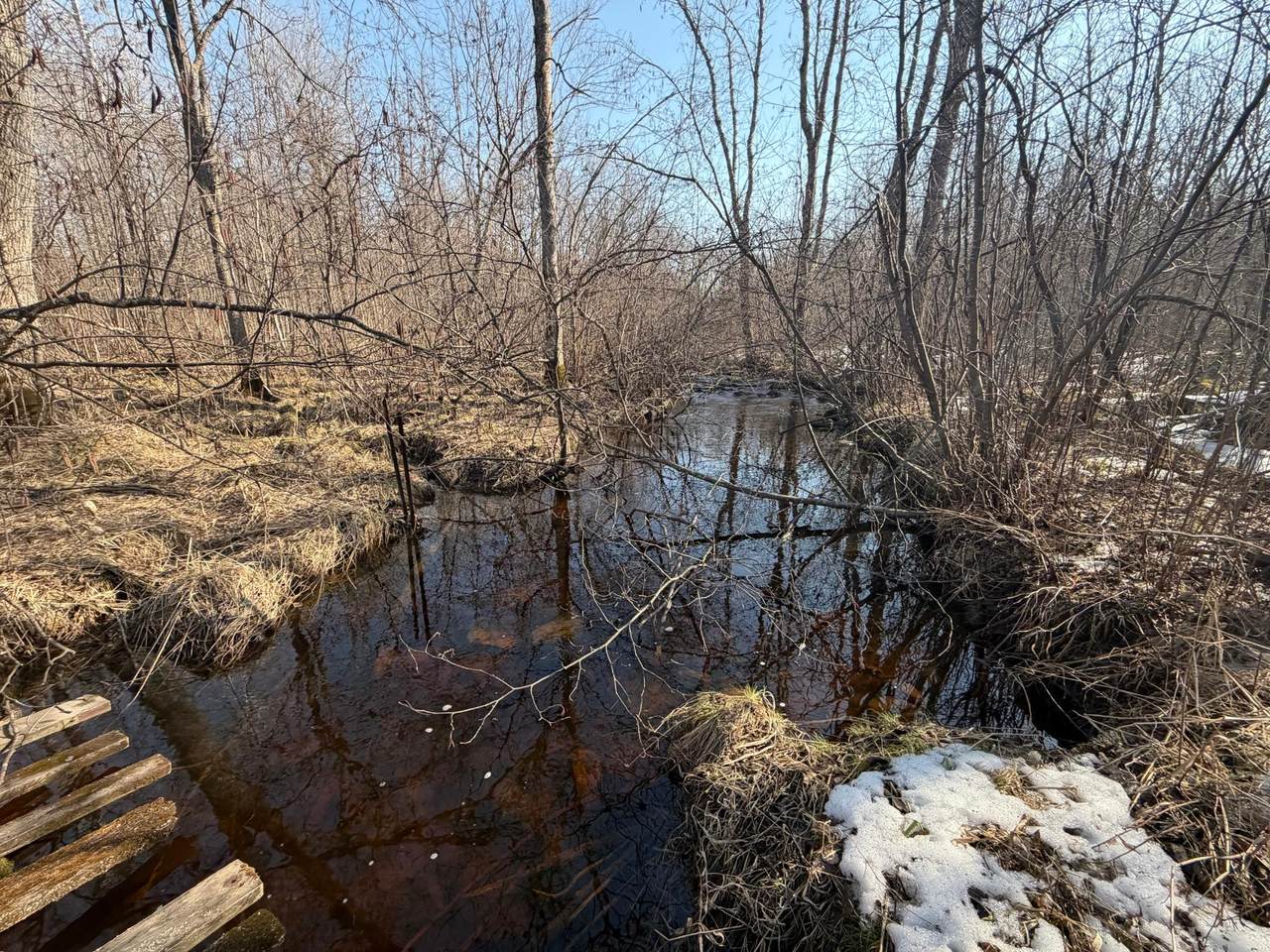 https://bt-photos.global.ssl.fastly.net/northwoods/1280_boomver_1_216178-2.jpg