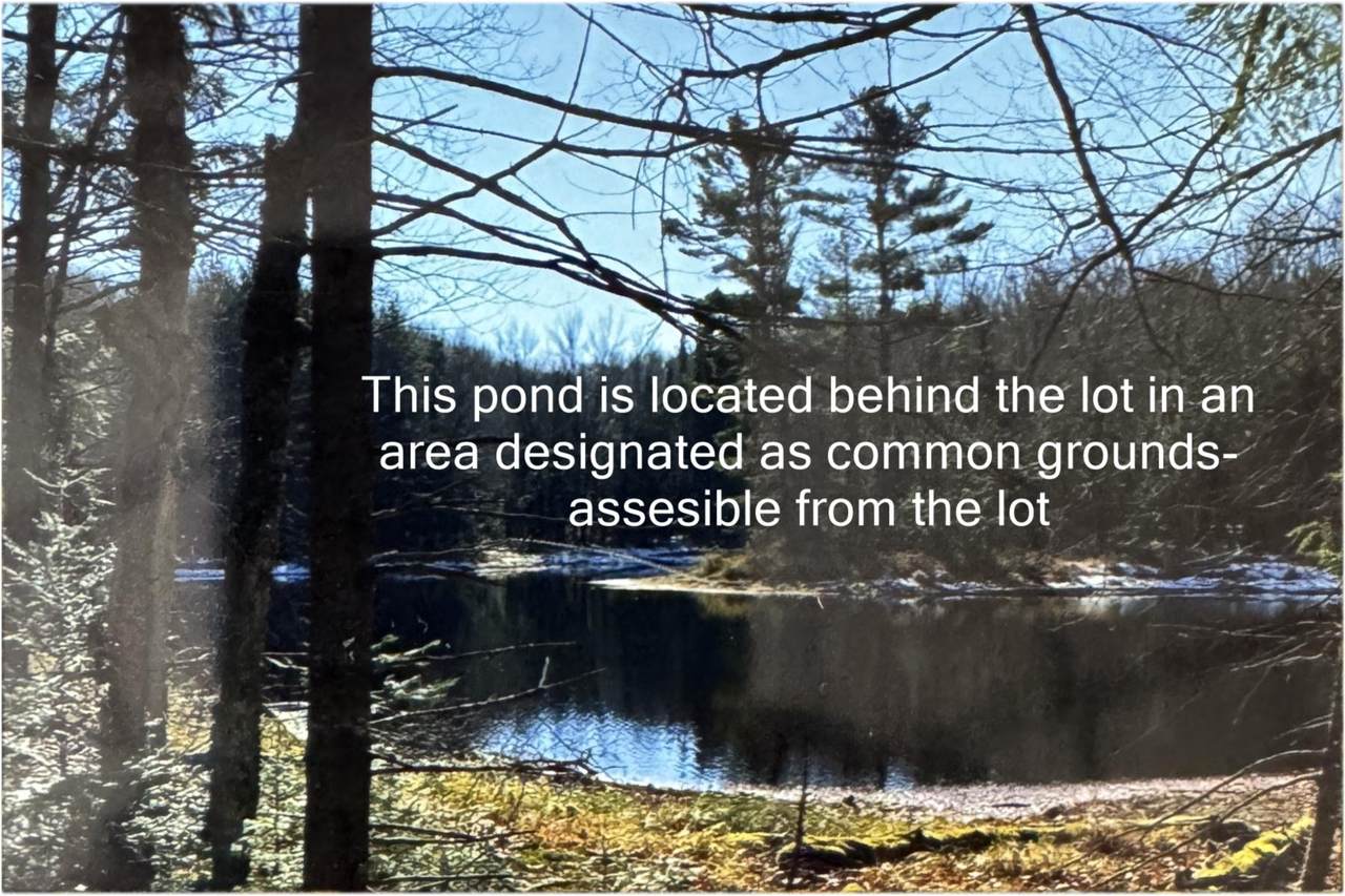 https://bt-photos.global.ssl.fastly.net/northwoods/orig_boomver_1_216194-2.jpg