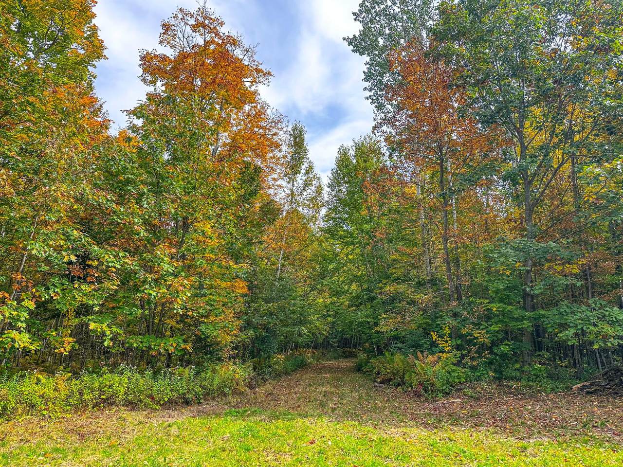https://bt-photos.global.ssl.fastly.net/northwoods/1280_boomver_1_216198-2.jpg