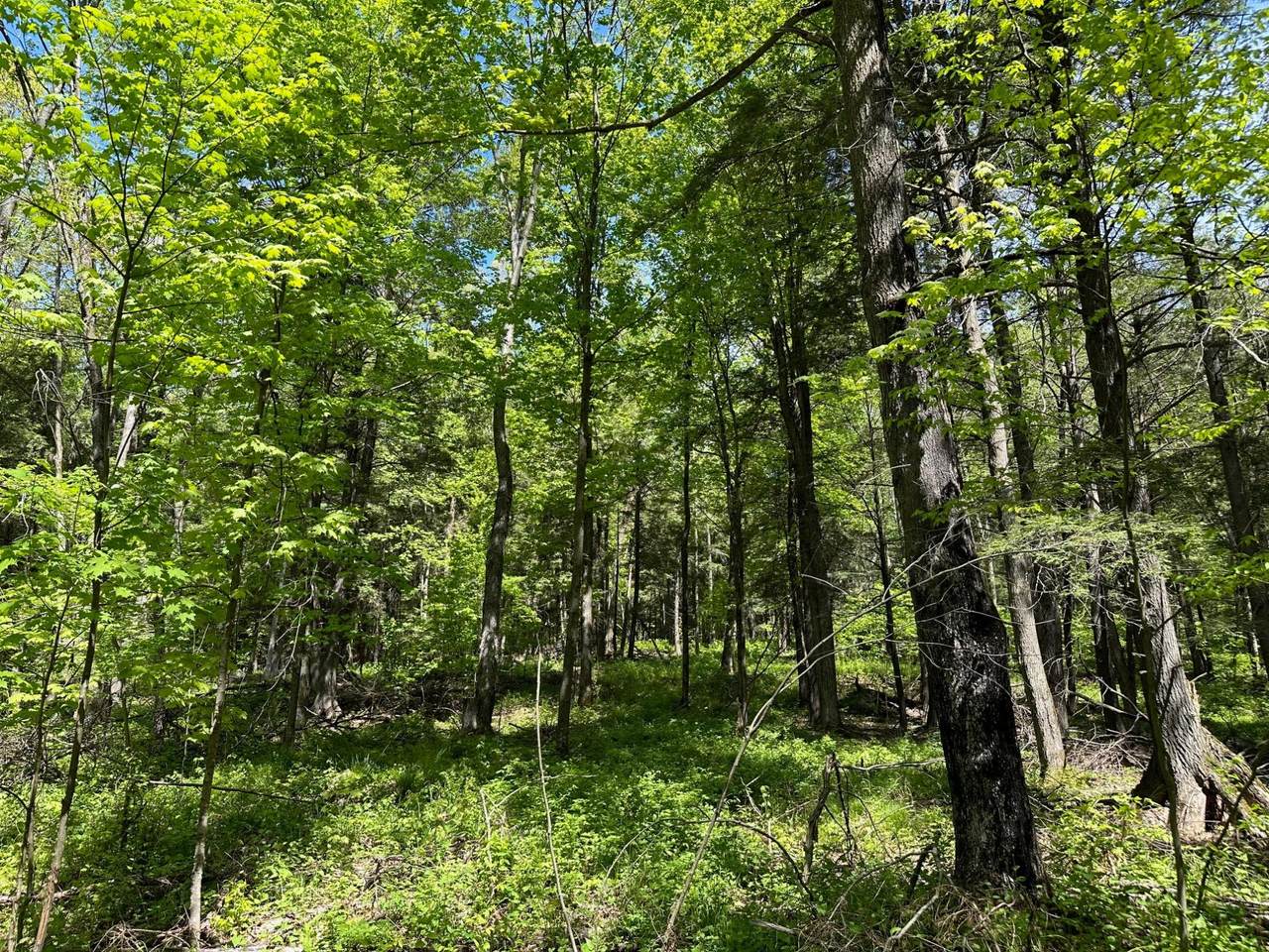 Lot 8 Kellar Dr - Photo 1