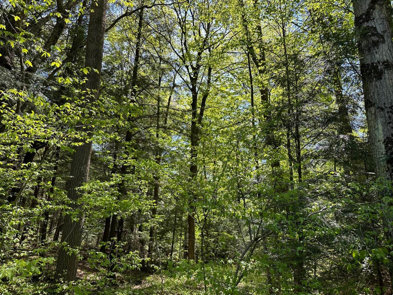 https://bt-photos.global.ssl.fastly.net/northwoods/1280_boomver_1_216217-2.jpg