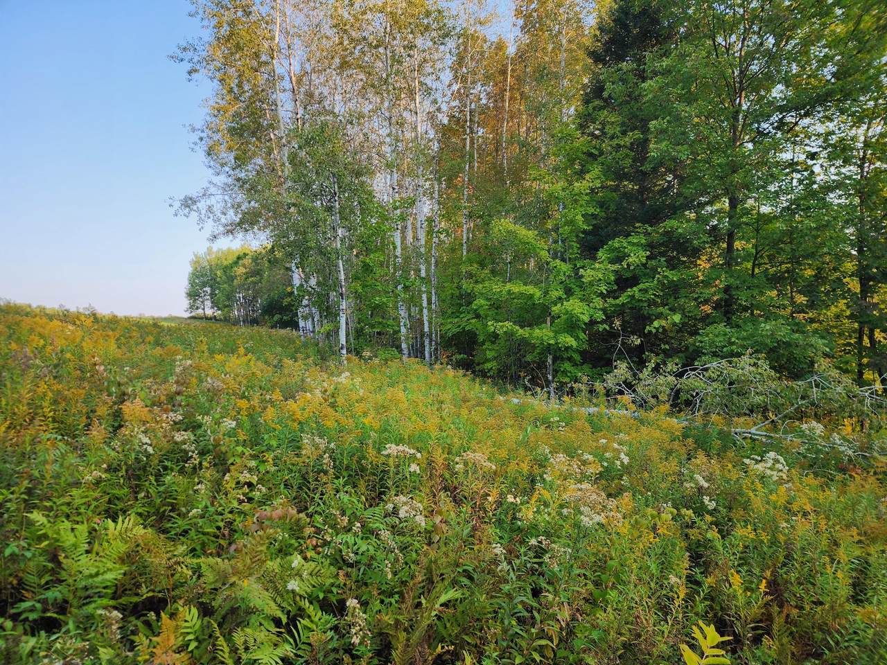 https://bt-photos.global.ssl.fastly.net/northwoods/1280_boomver_1_216249-2.jpg