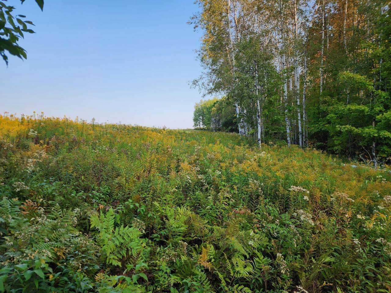https://bt-photos.global.ssl.fastly.net/northwoods/1280_boomver_1_216249-2.jpg