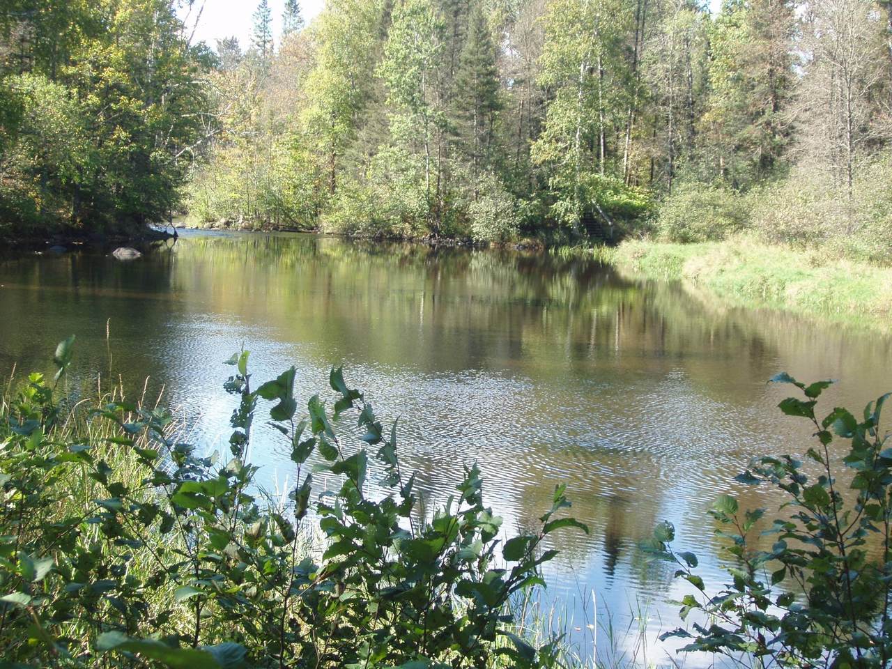 N15671 Evergreen Rd - Photo 1