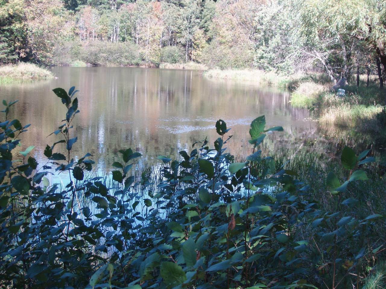 https://bt-photos.global.ssl.fastly.net/northwoods/1280_boomver_1_216260-2.jpg