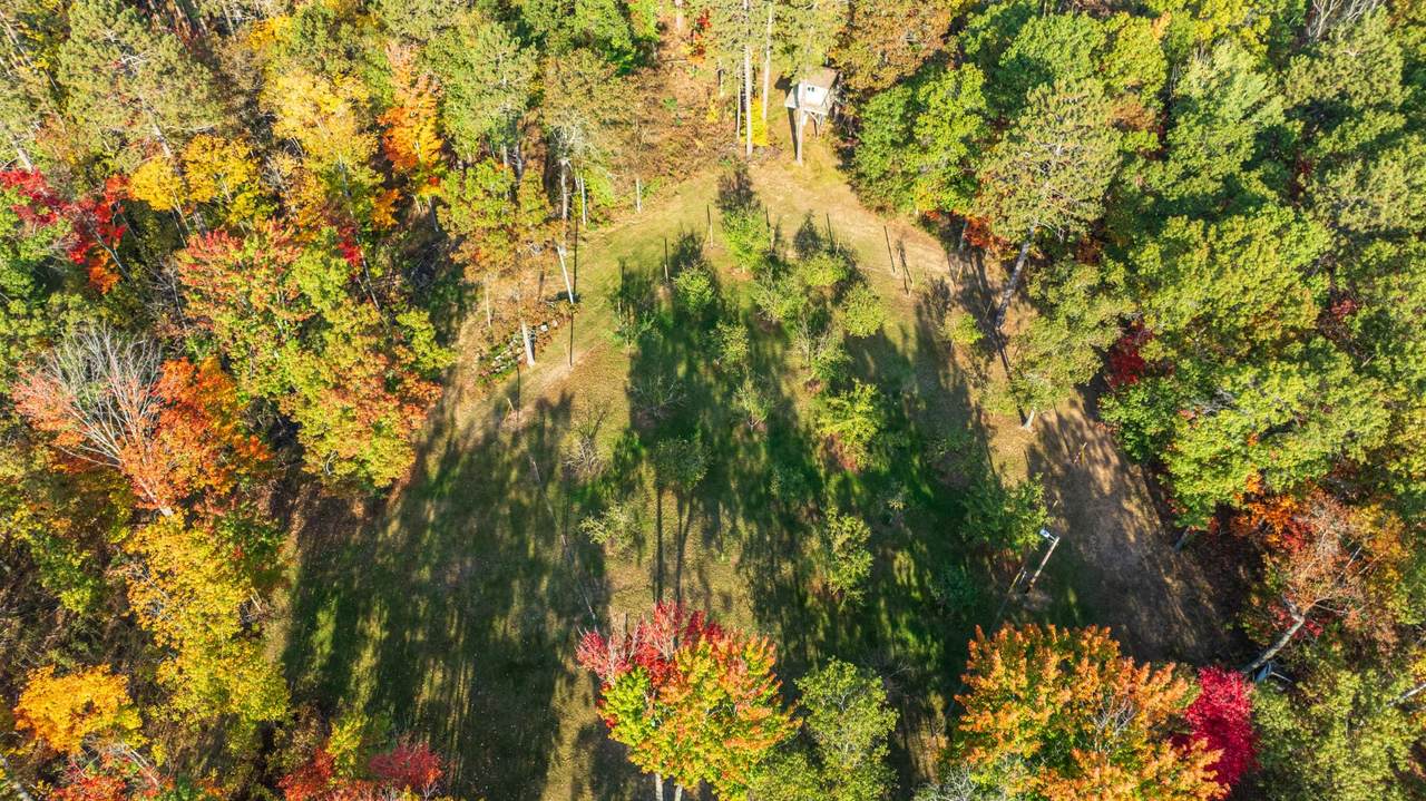Lot 5 Forest Ln - Photo 1