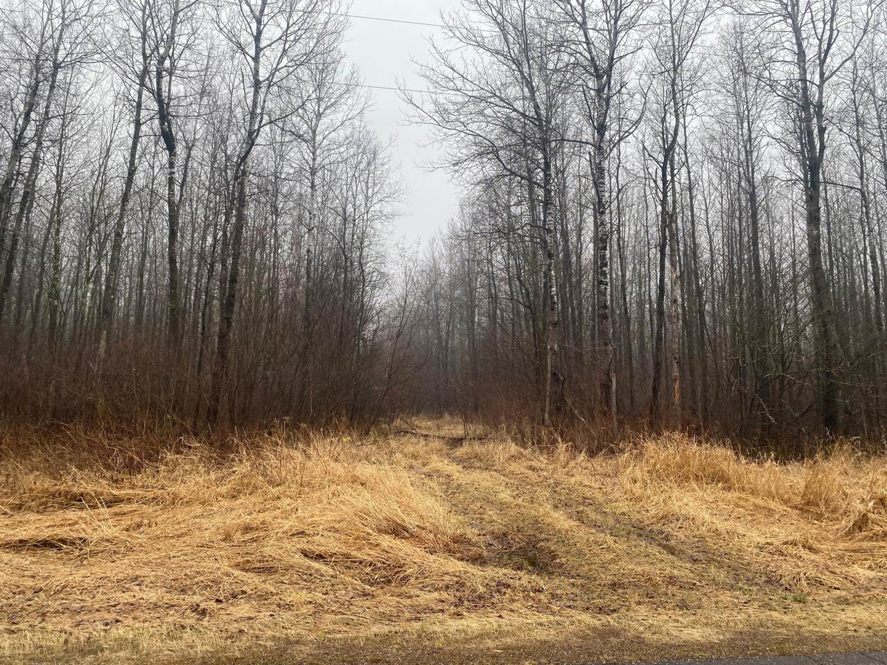 https://bt-photos.global.ssl.fastly.net/northwoods/1280_boomver_1_216273-2.jpg
