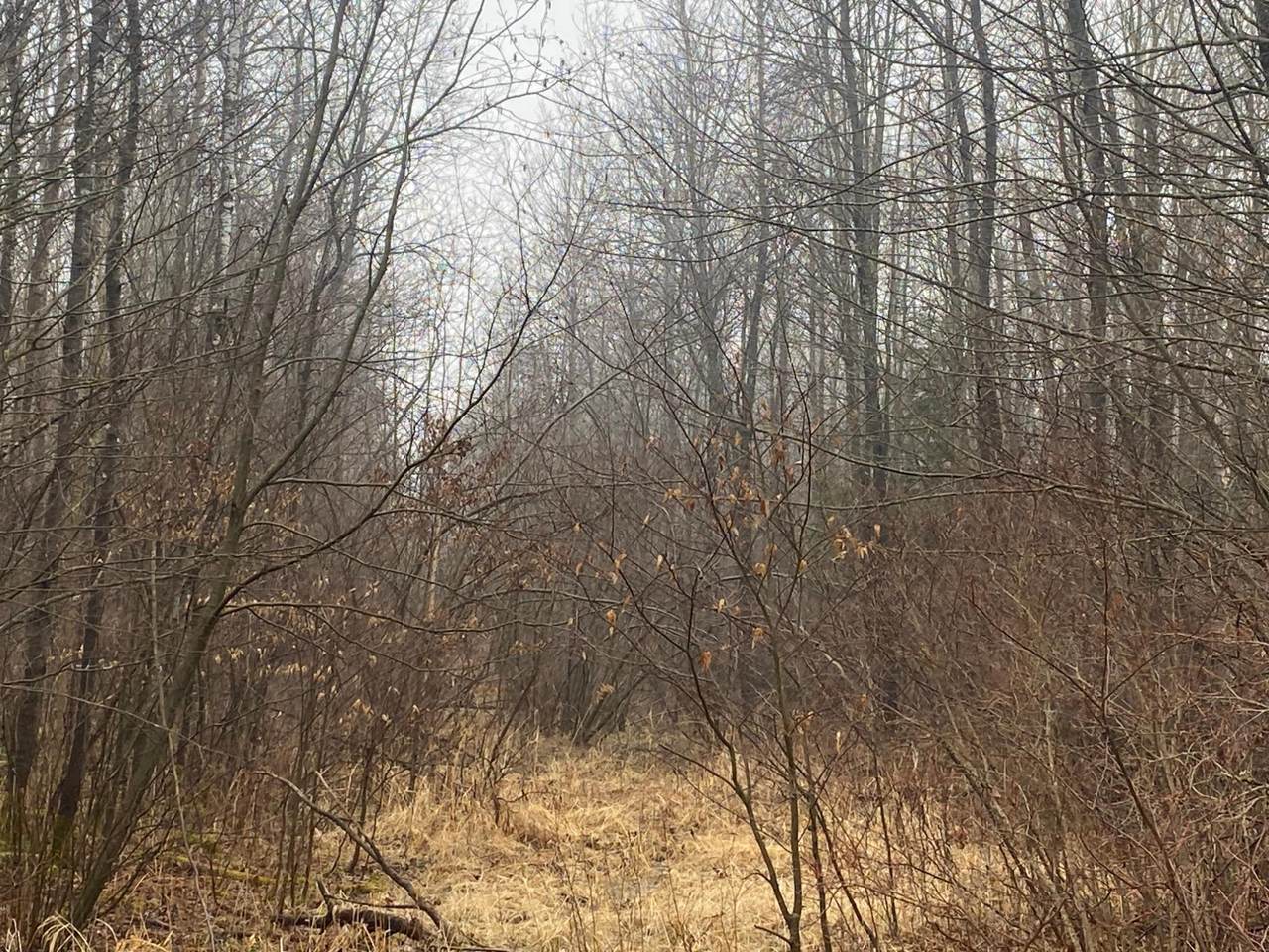 https://bt-photos.global.ssl.fastly.net/northwoods/1280_boomver_1_216273-2.jpg