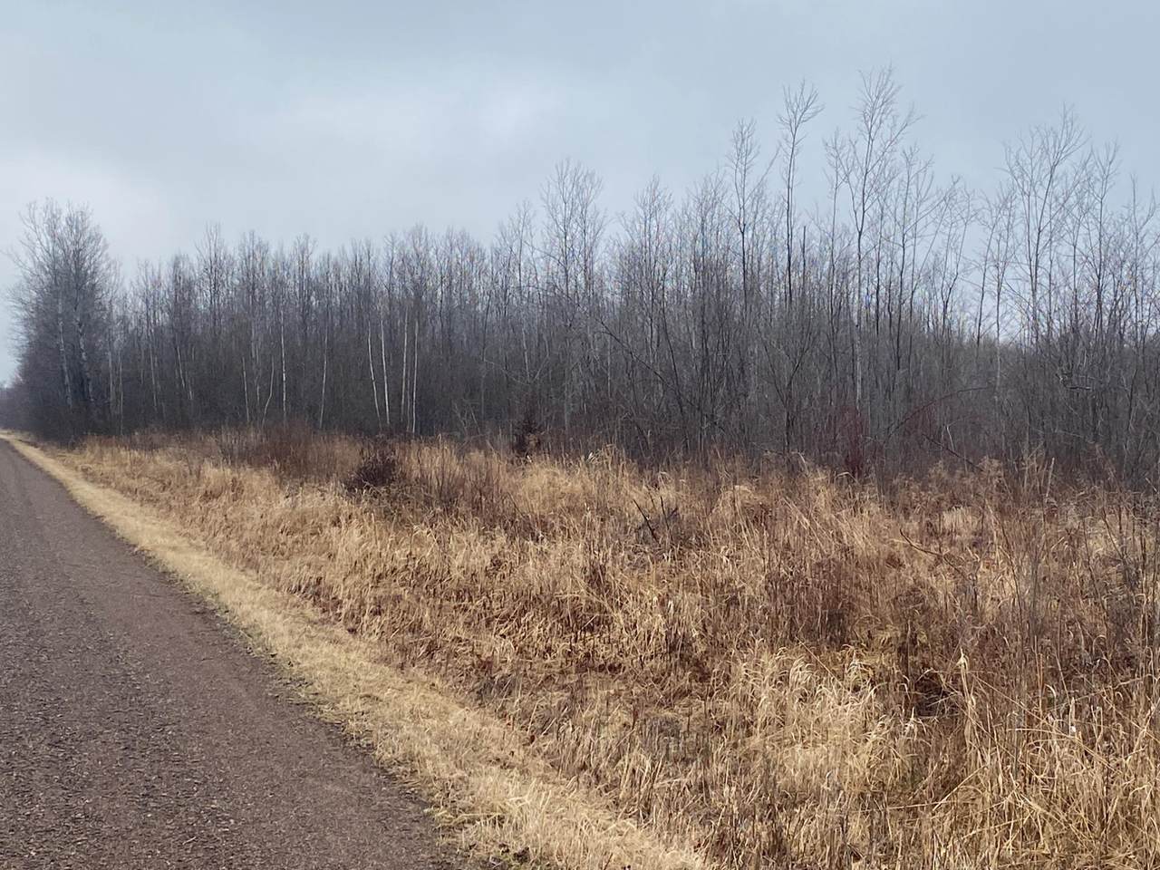 https://bt-photos.global.ssl.fastly.net/northwoods/1280_boomver_1_216277-2.jpg