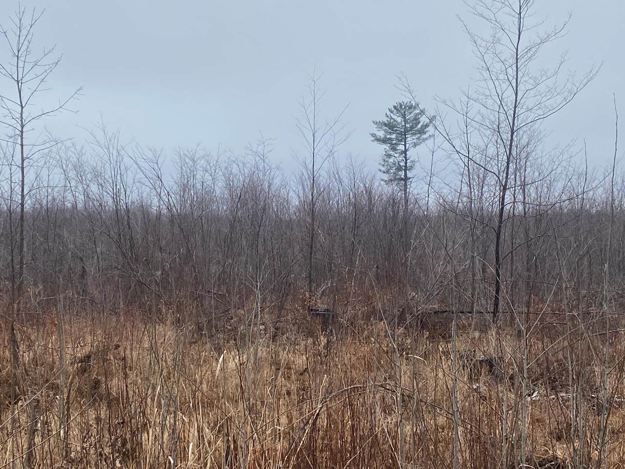 https://bt-photos.global.ssl.fastly.net/northwoods/1280_boomver_1_216277-2.jpg