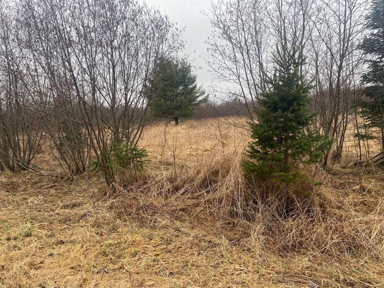 https://bt-photos.global.ssl.fastly.net/northwoods/1280_boomver_1_216280-2.jpg