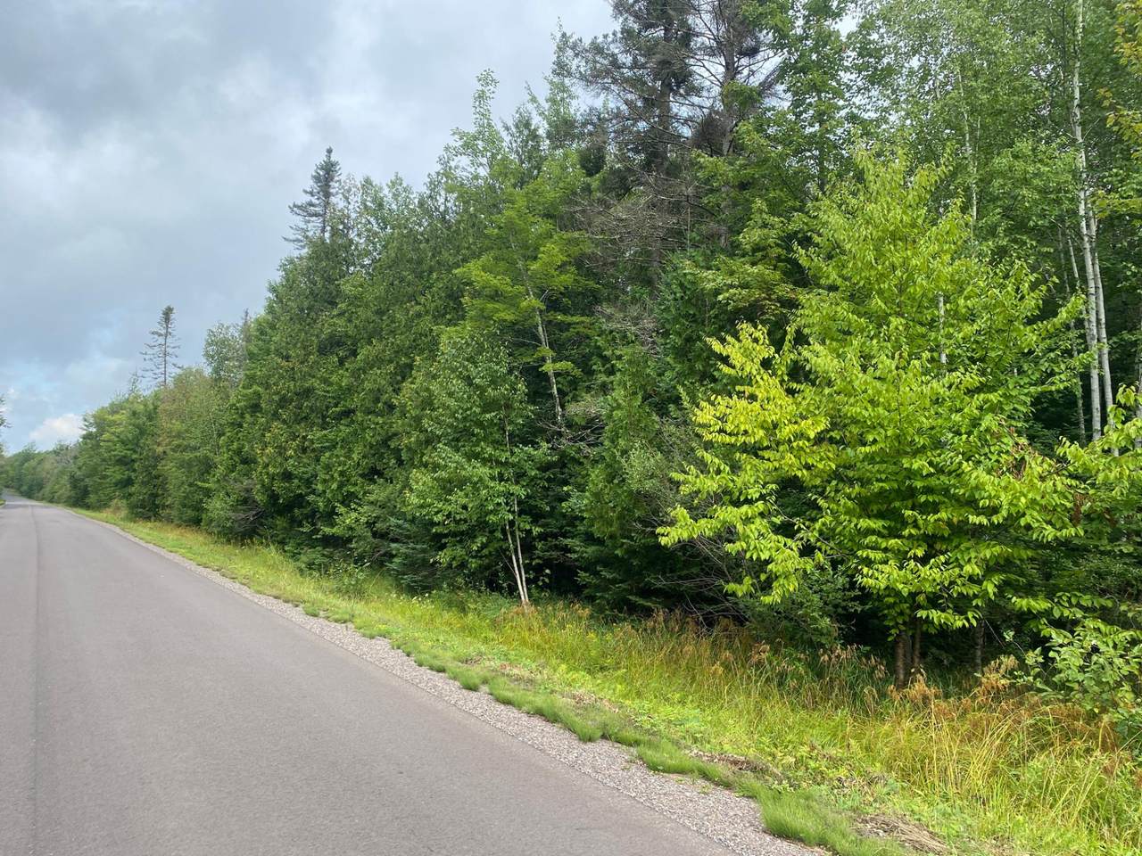 ON Maple Ridge Rd - Photo 1