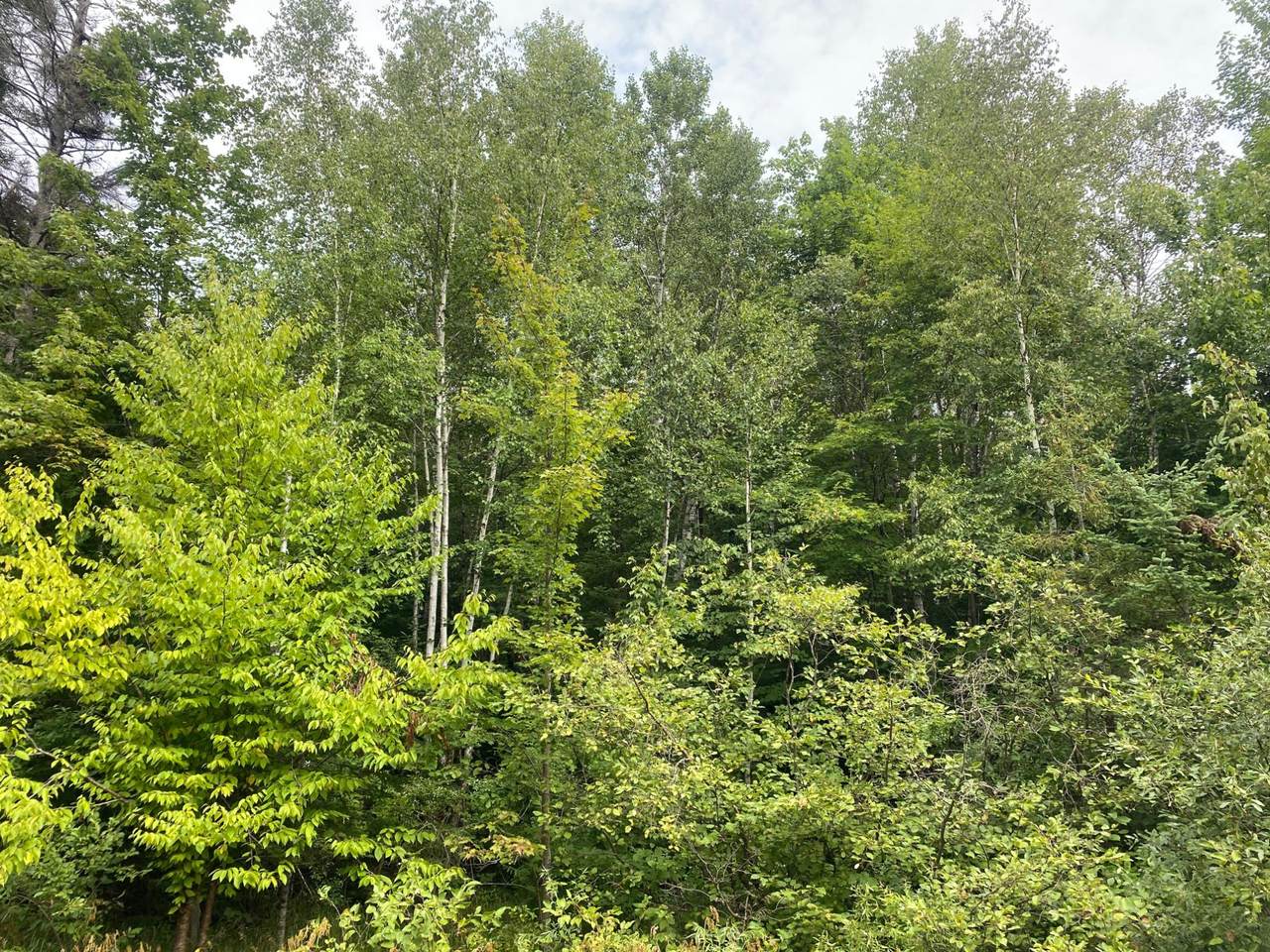 https://bt-photos.global.ssl.fastly.net/northwoods/1280_boomver_1_216281-2.jpg