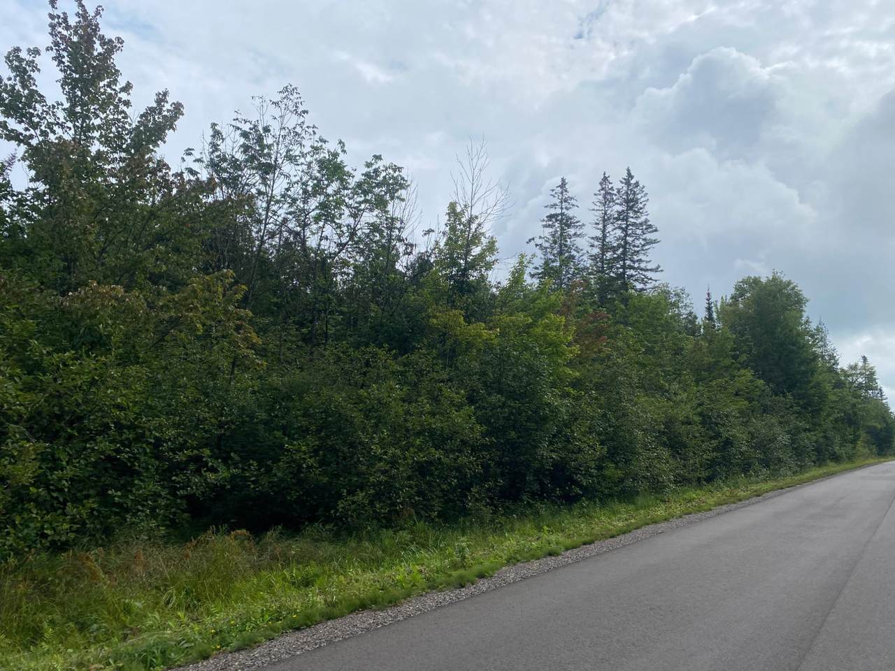 https://bt-photos.global.ssl.fastly.net/northwoods/1280_boomver_1_216281-2.jpg