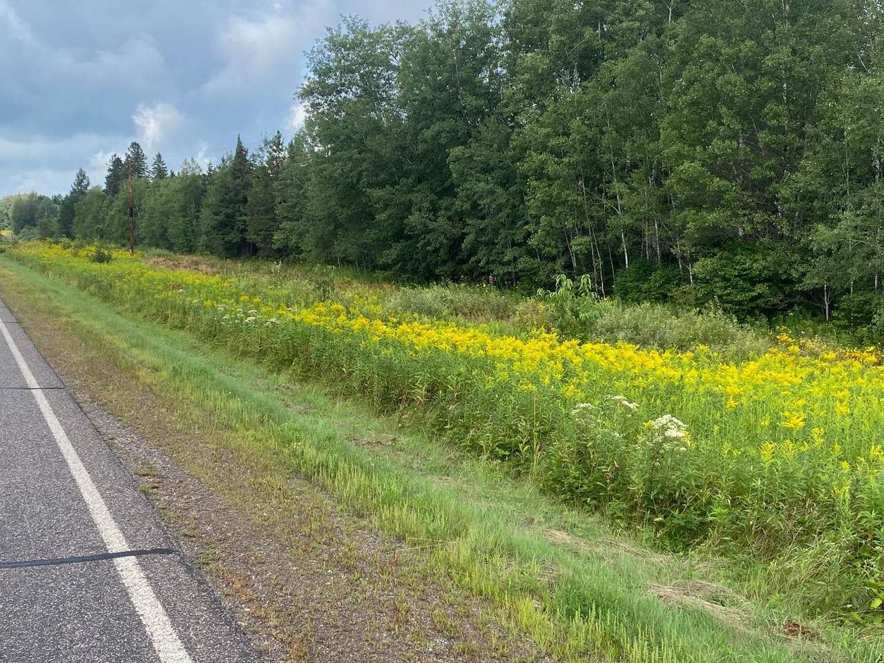 https://bt-photos.global.ssl.fastly.net/northwoods/1280_boomver_1_216284-2.jpg