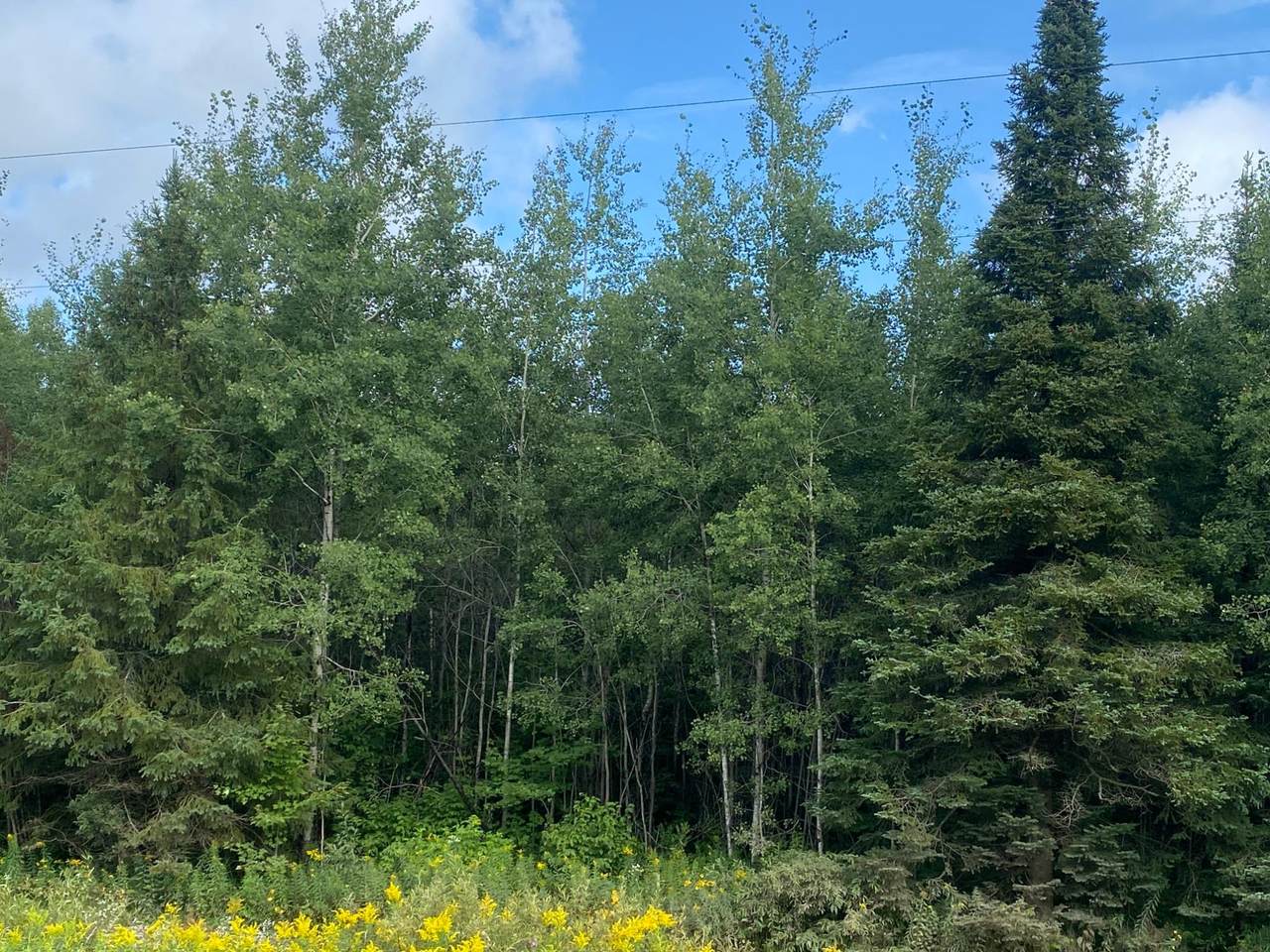 https://bt-photos.global.ssl.fastly.net/northwoods/1280_boomver_1_216284-2.jpg