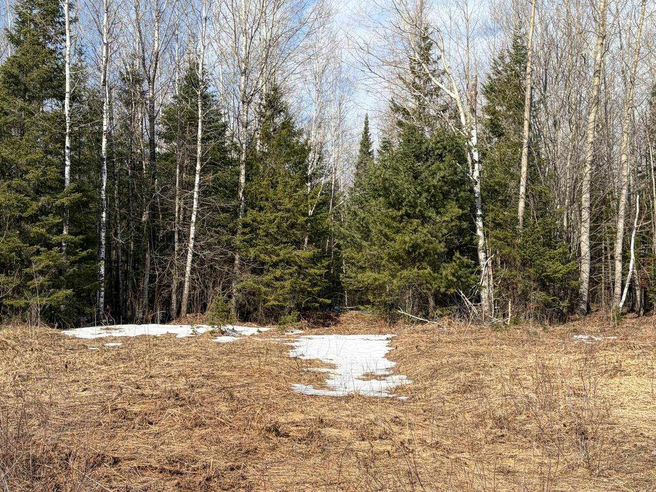 https://bt-photos.global.ssl.fastly.net/northwoods/1280_boomver_1_216288-2.jpg