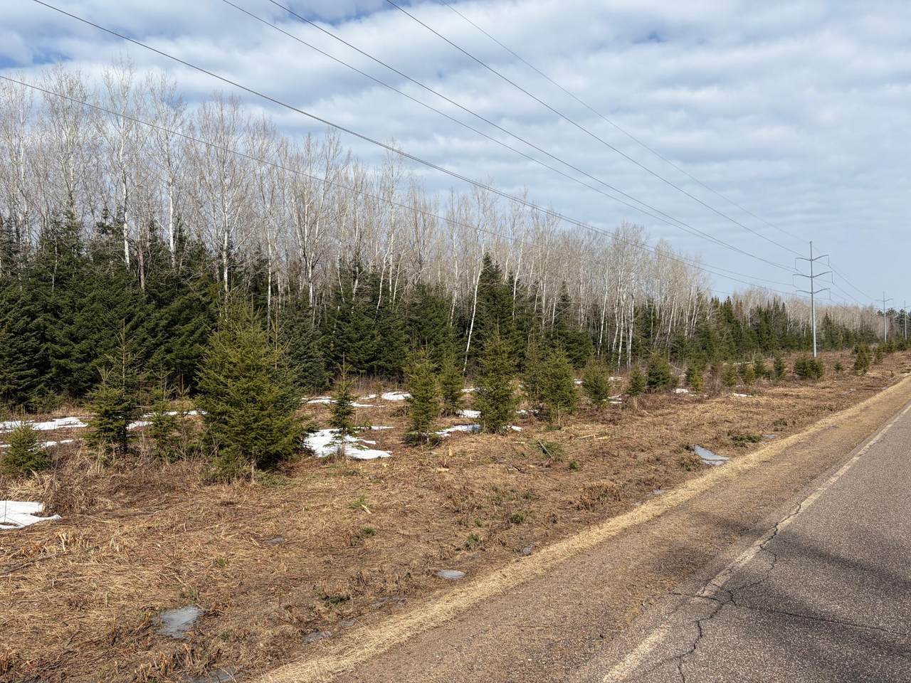 https://bt-photos.global.ssl.fastly.net/northwoods/1280_boomver_1_216290-2.jpg
