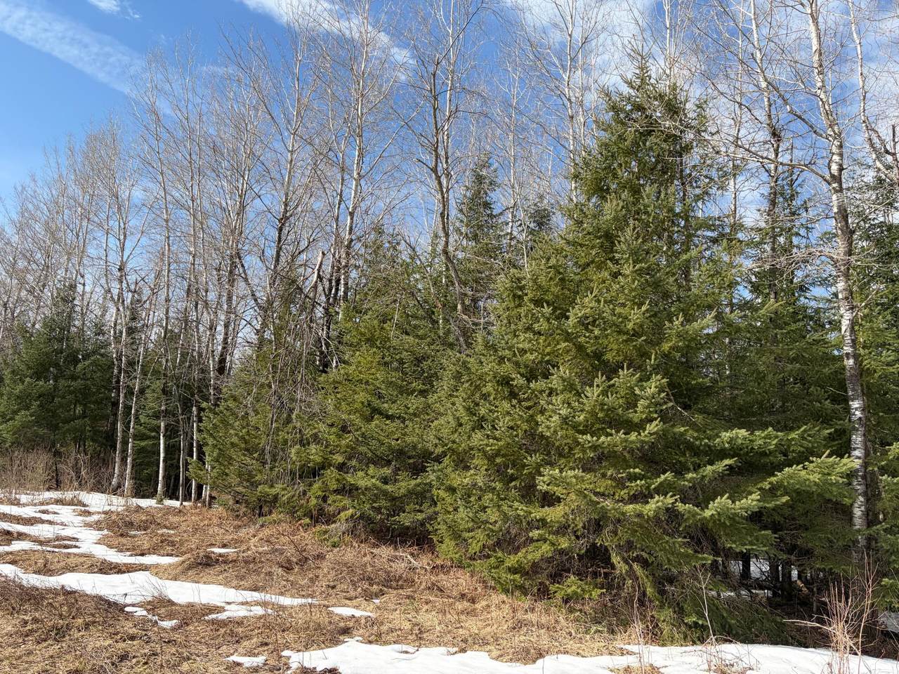 https://bt-photos.global.ssl.fastly.net/northwoods/1280_boomver_1_216290-2.jpg