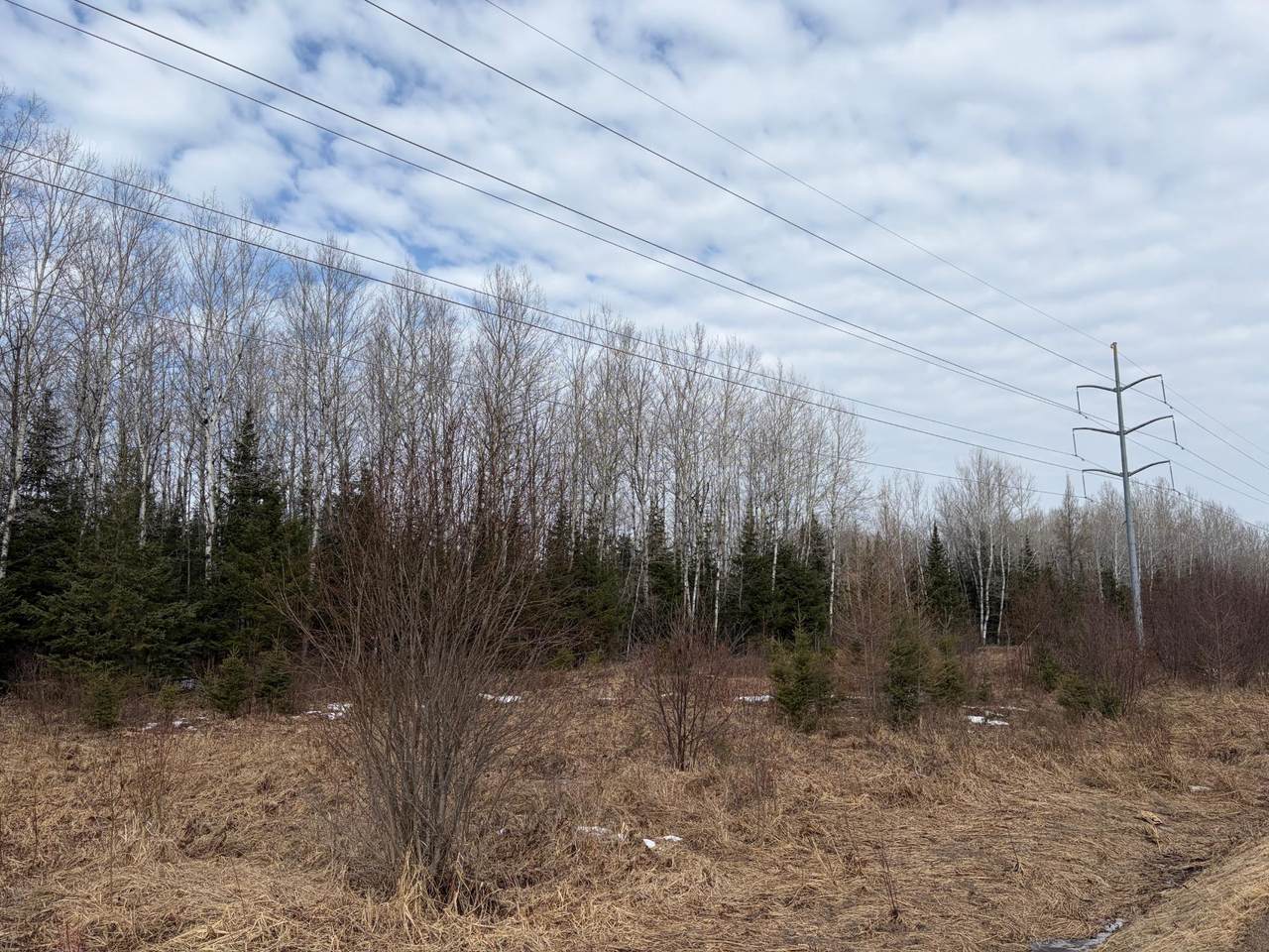 ON Cth F - Photo 1