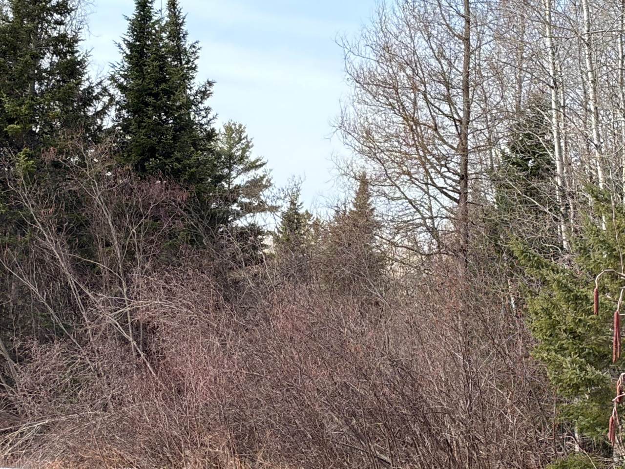 https://bt-photos.global.ssl.fastly.net/northwoods/1280_boomver_1_216291-2.jpg