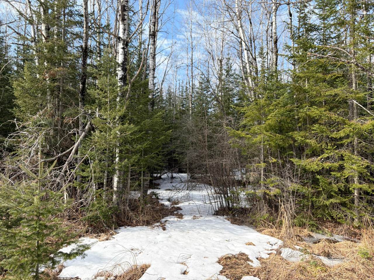 https://bt-photos.global.ssl.fastly.net/northwoods/1280_boomver_1_216292-2.jpg