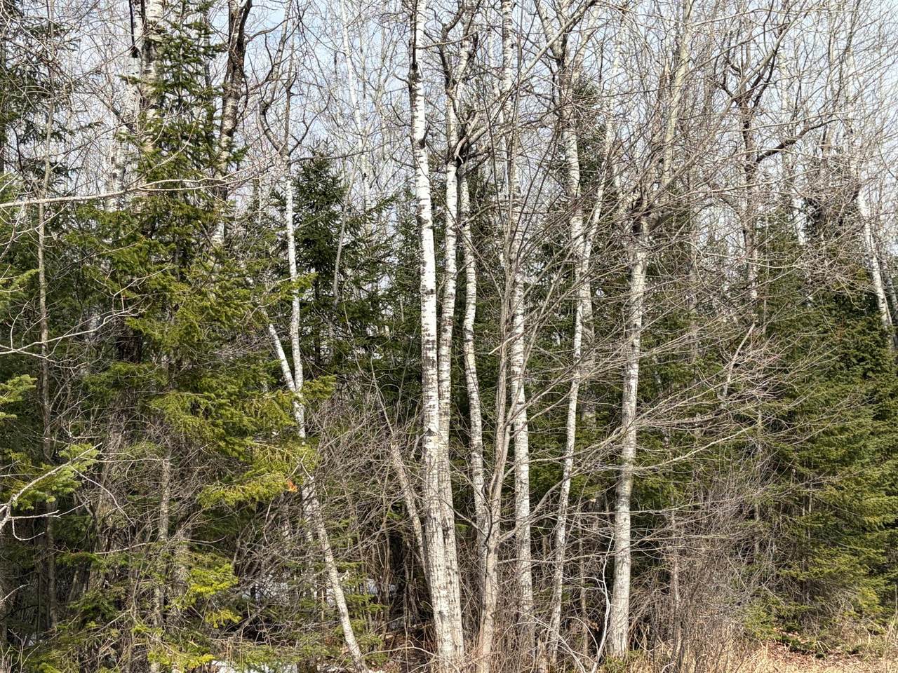 https://bt-photos.global.ssl.fastly.net/northwoods/1280_boomver_1_216292-2.jpg