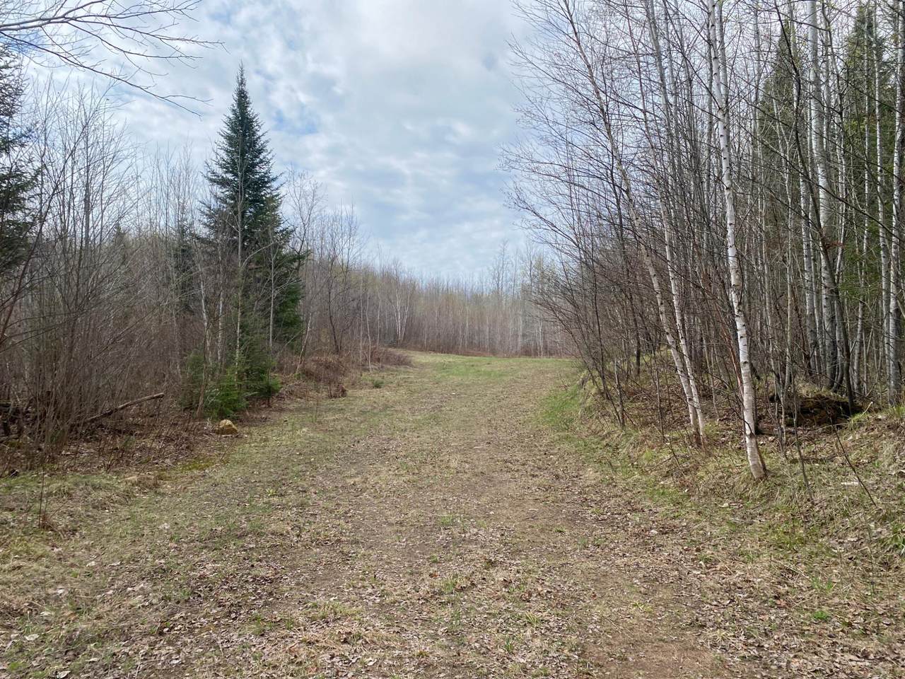 NEAR Wilson Lake Rd - Photo 1