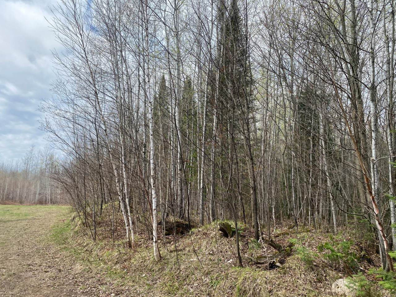 https://bt-photos.global.ssl.fastly.net/northwoods/1280_boomver_1_216295-2.jpg