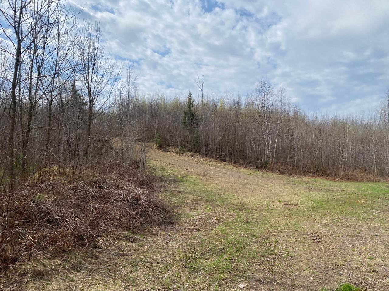 https://bt-photos.global.ssl.fastly.net/northwoods/1280_boomver_1_216295-2.jpg