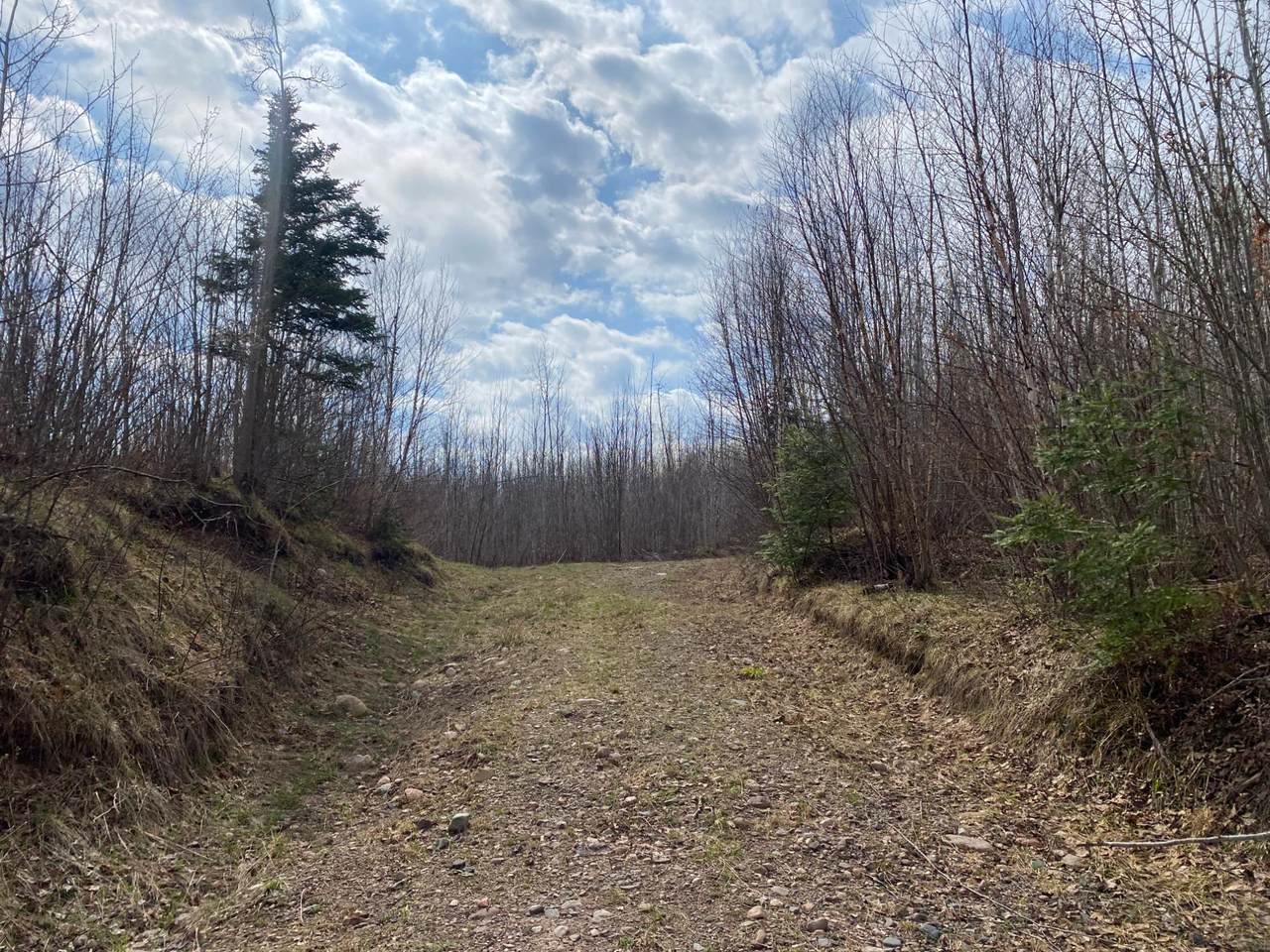 https://bt-photos.global.ssl.fastly.net/northwoods/1280_boomver_1_216295-2.jpg