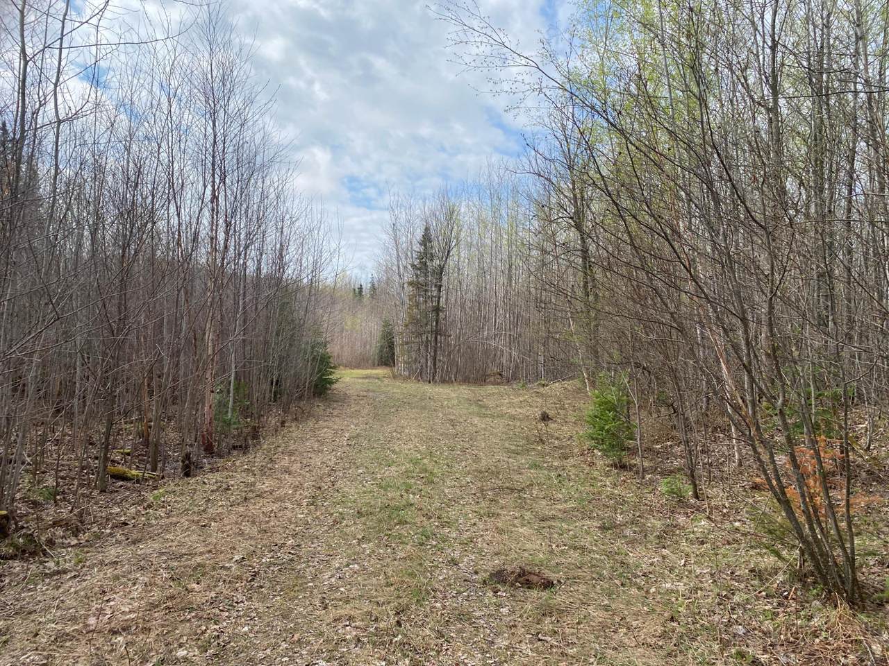 NEAR Wilson Lake Rd - Photo 1