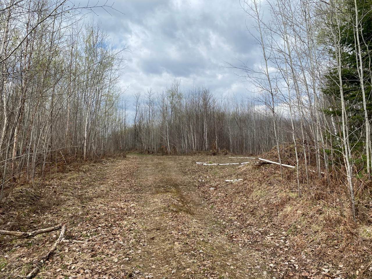 NEAR Wilson Lake Rd - Photo 1