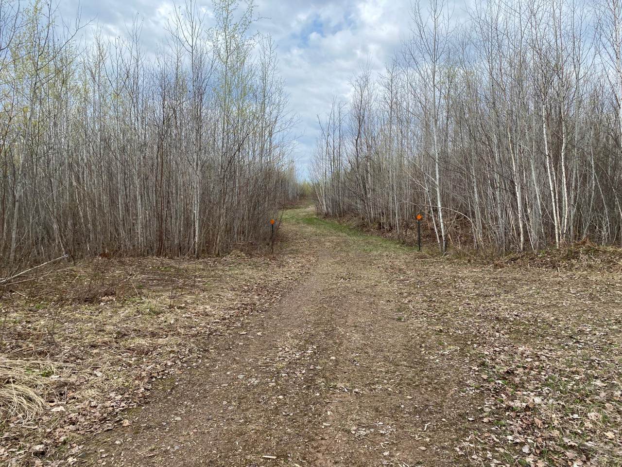 https://bt-photos.global.ssl.fastly.net/northwoods/1280_boomver_1_216297-2.jpg
