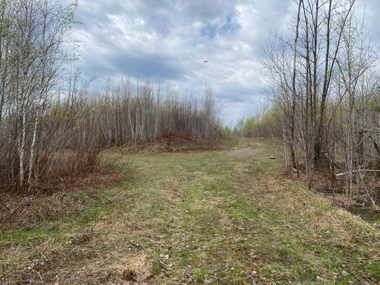 https://bt-photos.global.ssl.fastly.net/northwoods/1280_boomver_1_216297-2.jpg