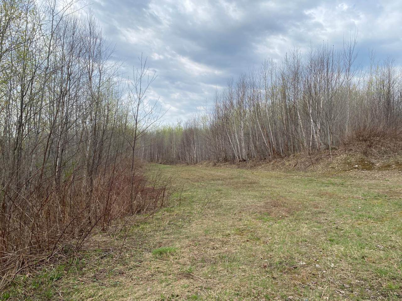 https://bt-photos.global.ssl.fastly.net/northwoods/1280_boomver_1_216297-2.jpg