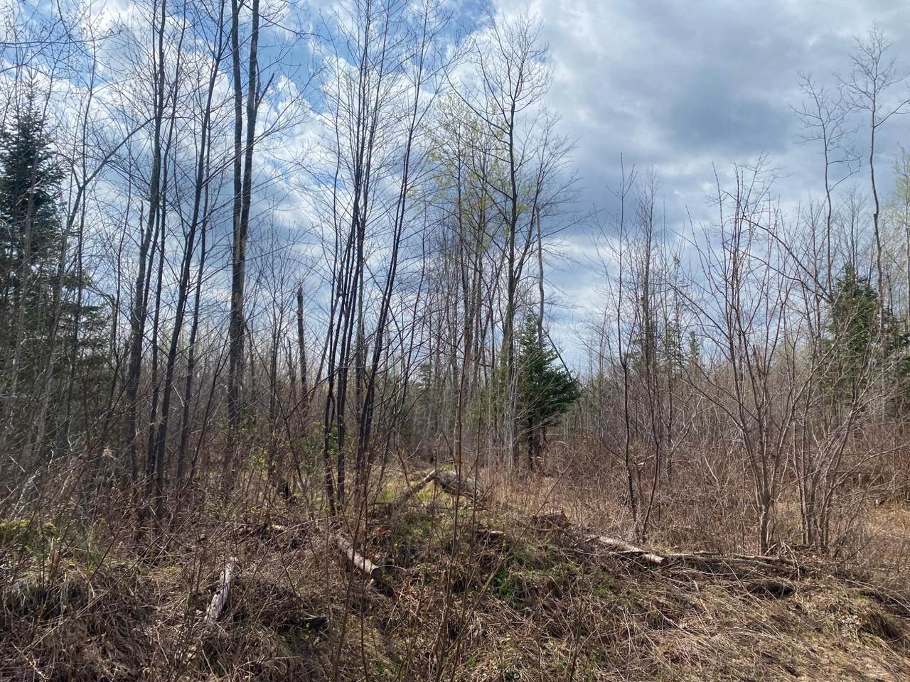 NEAR Wilson Lake Rd - Photo 1