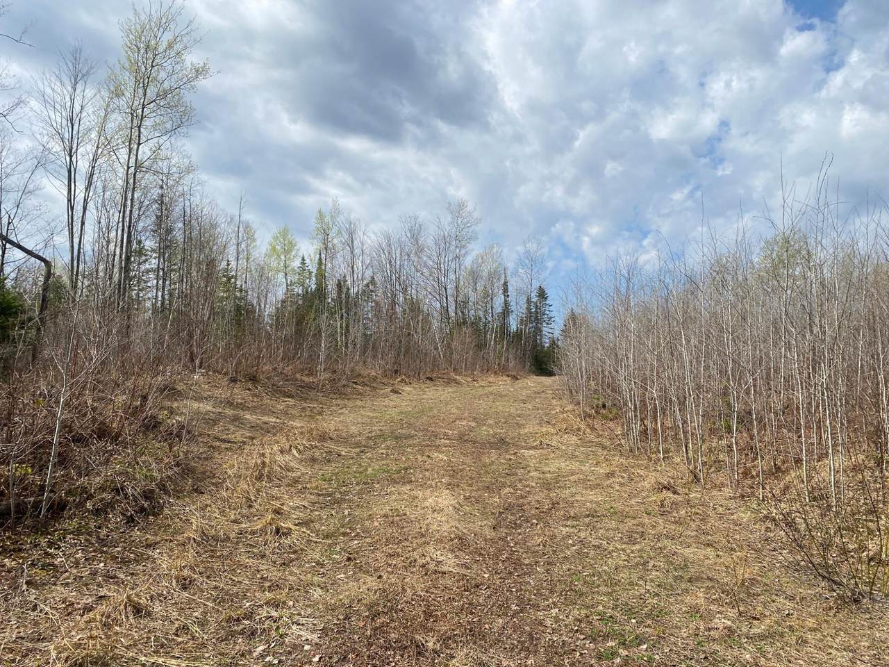 https://bt-photos.global.ssl.fastly.net/northwoods/1280_boomver_1_216300-2.jpg