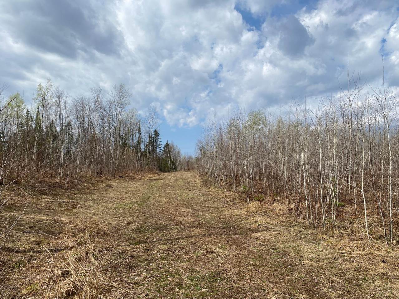 https://bt-photos.global.ssl.fastly.net/northwoods/1280_boomver_1_216300-2.jpg