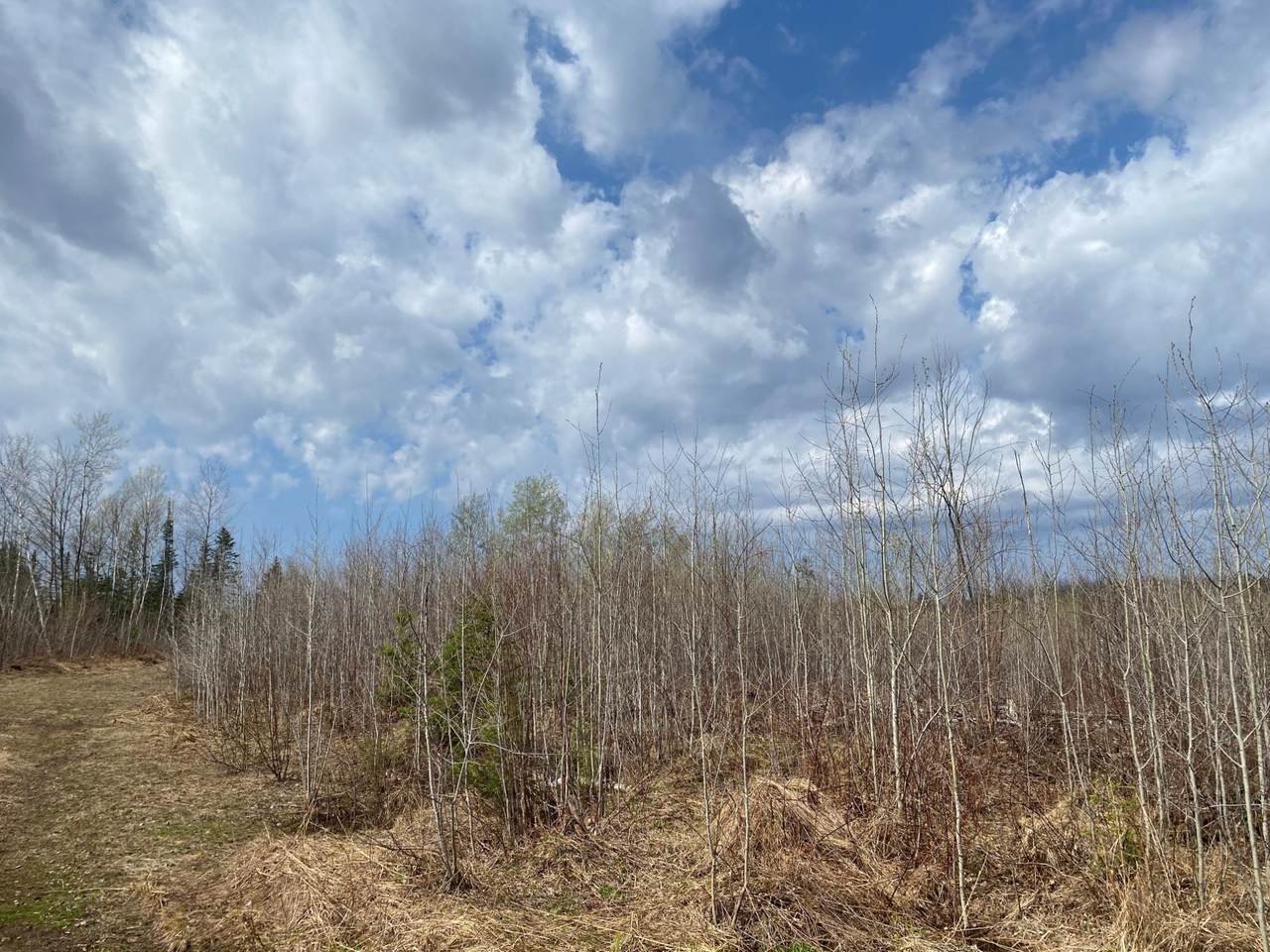 https://bt-photos.global.ssl.fastly.net/northwoods/1280_boomver_1_216300-2.jpg
