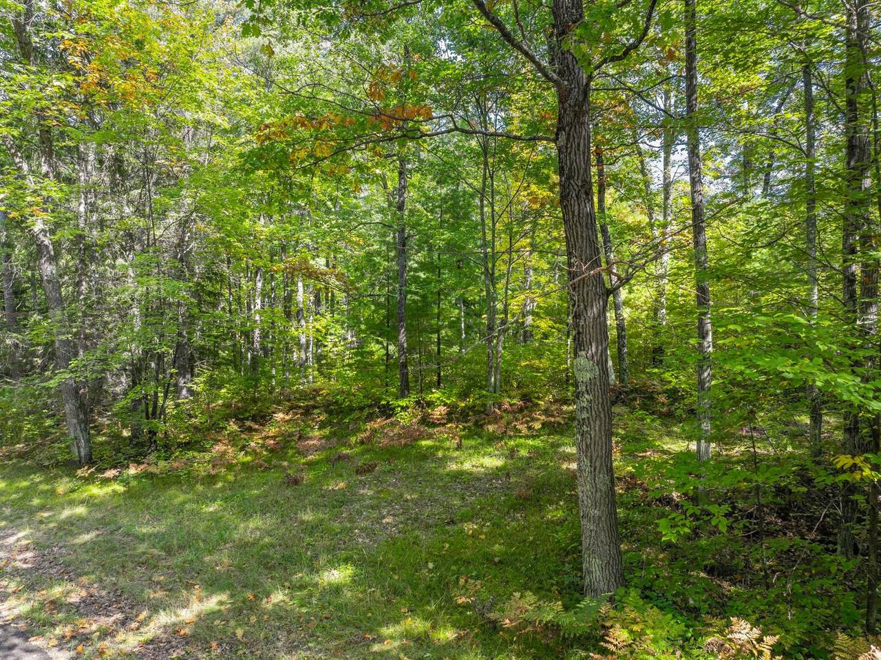 https://bt-photos.global.ssl.fastly.net/northwoods/1280_boomver_1_216321-2.jpg
