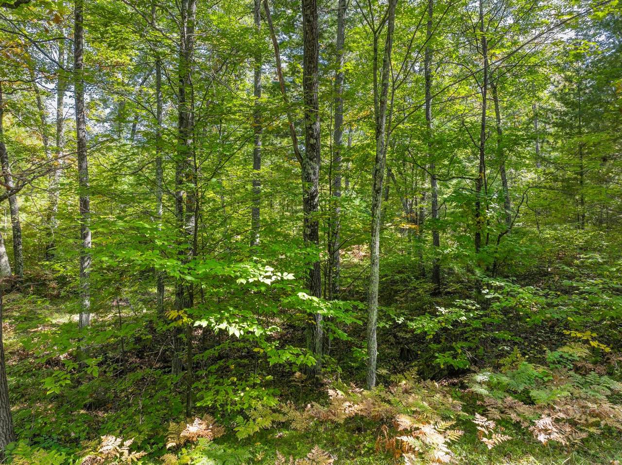 https://bt-photos.global.ssl.fastly.net/northwoods/1280_boomver_1_216324-2.jpg