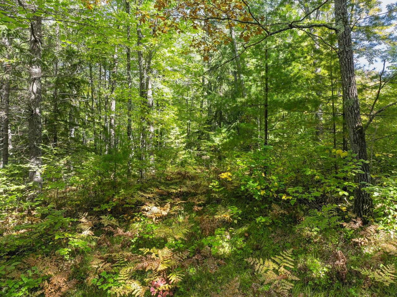 https://bt-photos.global.ssl.fastly.net/northwoods/1280_boomver_1_216324-2.jpg