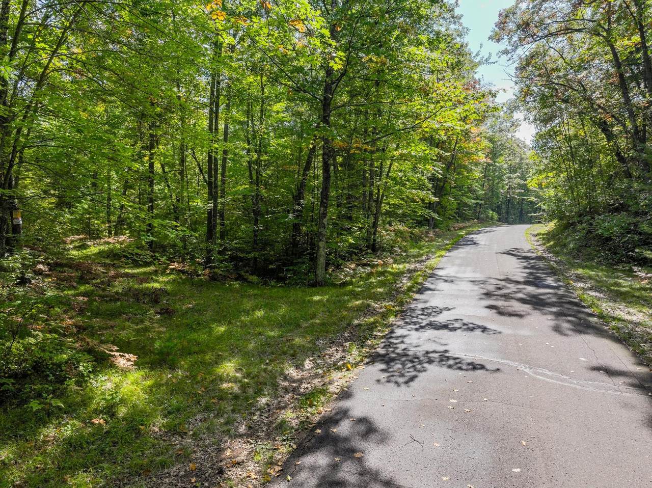 Lot 6 Lake Yawkey Dr - Photo 1